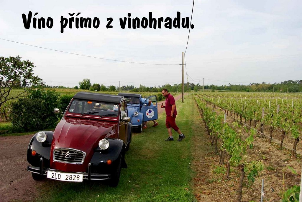 JPG 0100.jpg